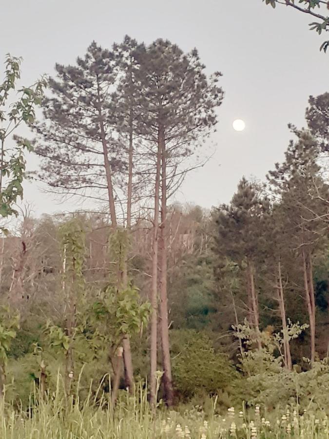 Refugio D'Aldeia Da Serra Seia Ngoại thất bức ảnh